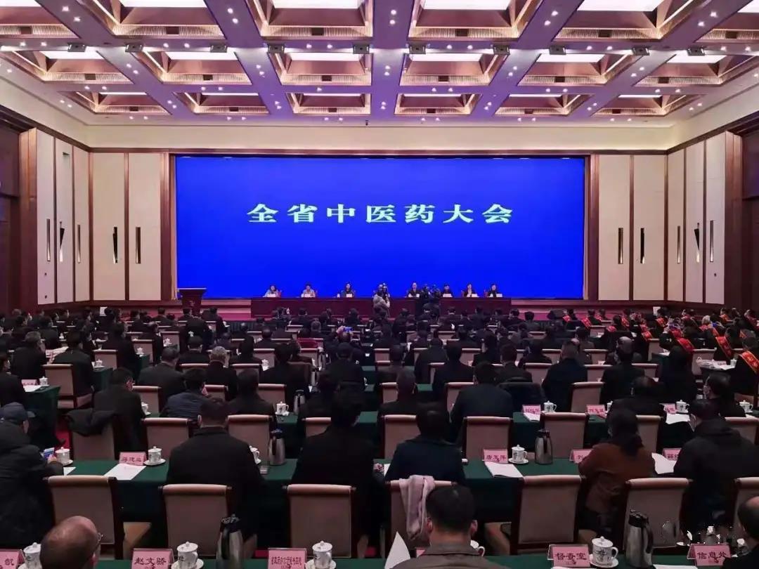 见证盛典，公司应邀参加 湖南省中医药大会